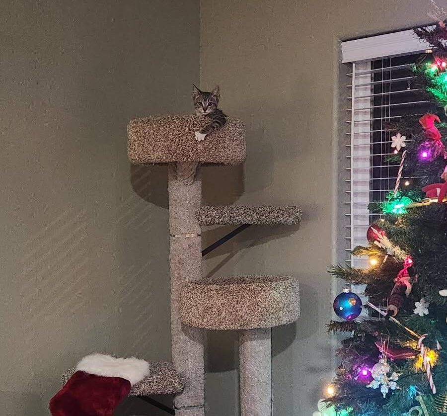 Safe and happy with her new family.